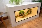 Large 4 x 2 x 2 Modern Reptile Vivarium