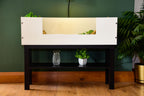 3ft Open Top Tortoise Table + Black Stand with Glass Window