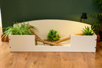4ft x 16" x 15" Open Top Tortoise Table with Glass Window