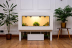 Large 4 x 2 x 2 Modern Reptile Vivarium with LED Stand
