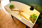 4ft Open Top Tortoise Table + Black Stand with Glass Window