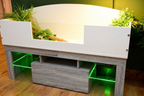 4ft Open Top Tortoise Table with Grey Wood LED Stand