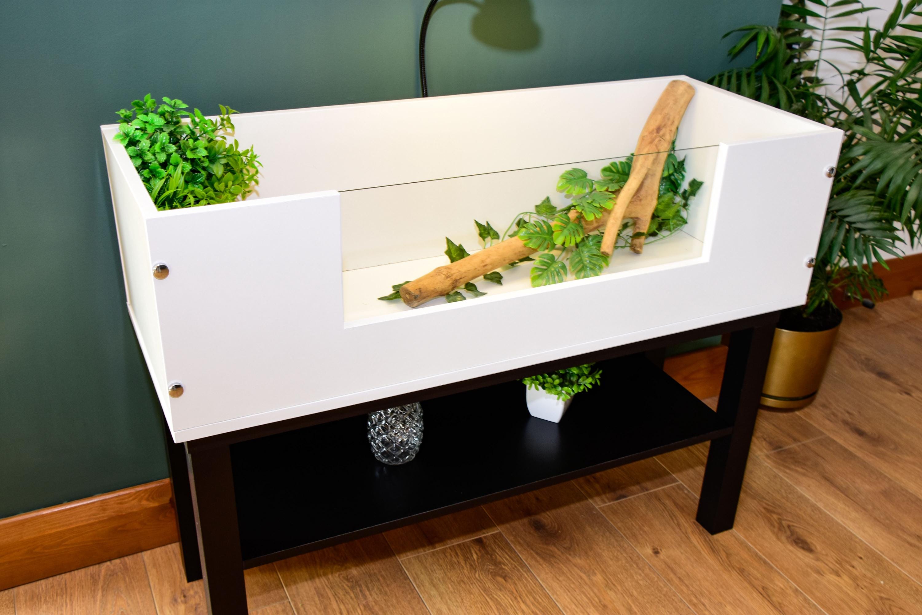 3ft Open Top Tortoise Table + Black Stand with Glass Window