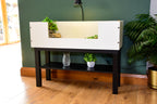 3ft Open Top Tortoise Table + Black Stand with Glass Window