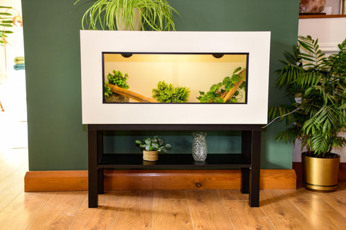 3ft Modern White Reptile Vivarium + Black Stand - LED Light Included