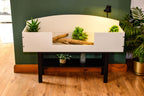 4ft Open Top Tortoise Table + Black Stand with Glass Window
