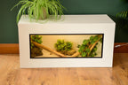 3ft Modern White Reptile Vivarium - LED Light Included
