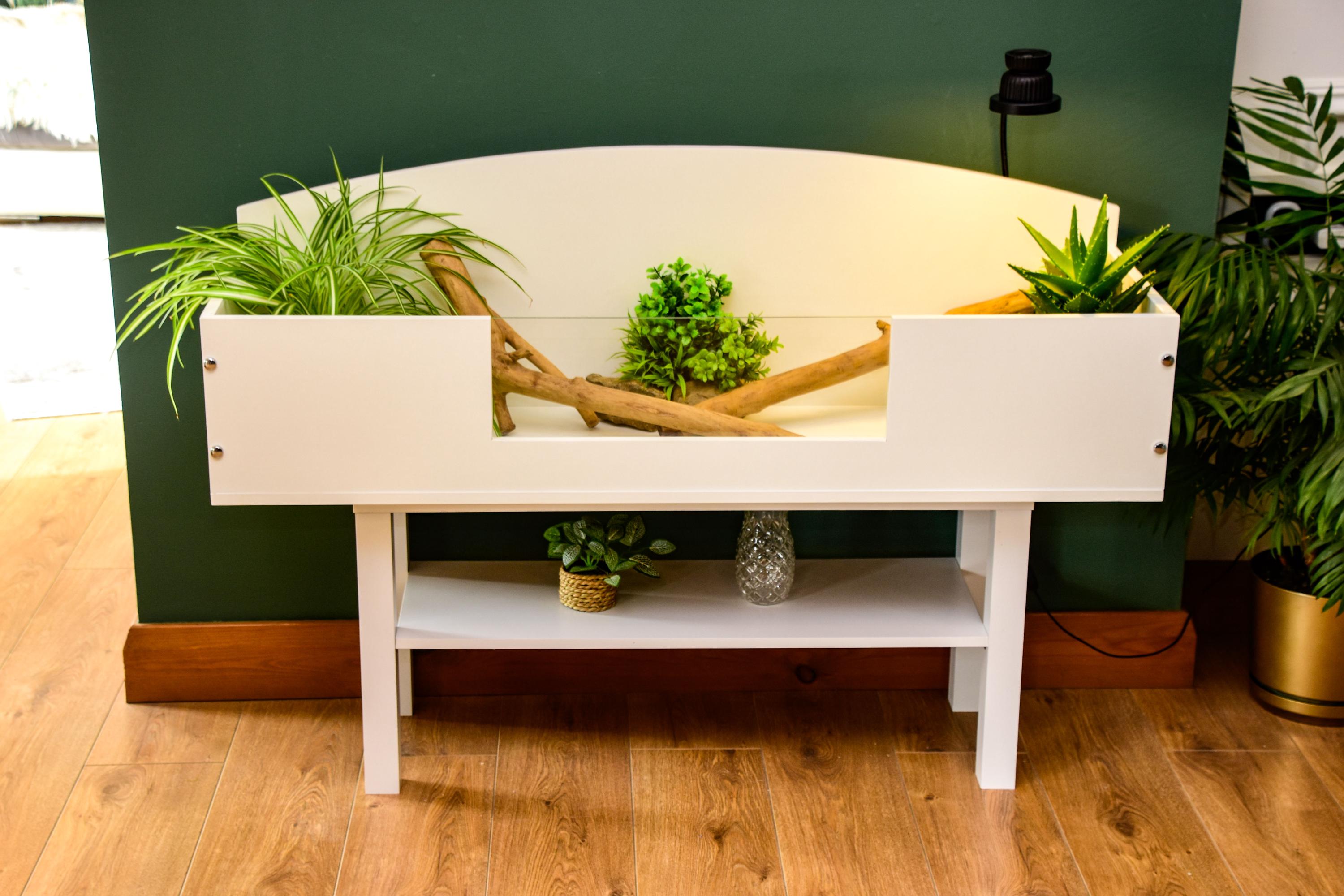 4ft Open Top Tortoise Table + White Stand with Glass Window