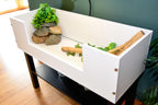 3ft Open Top Tortoise Table + Black Stand with Glass Window