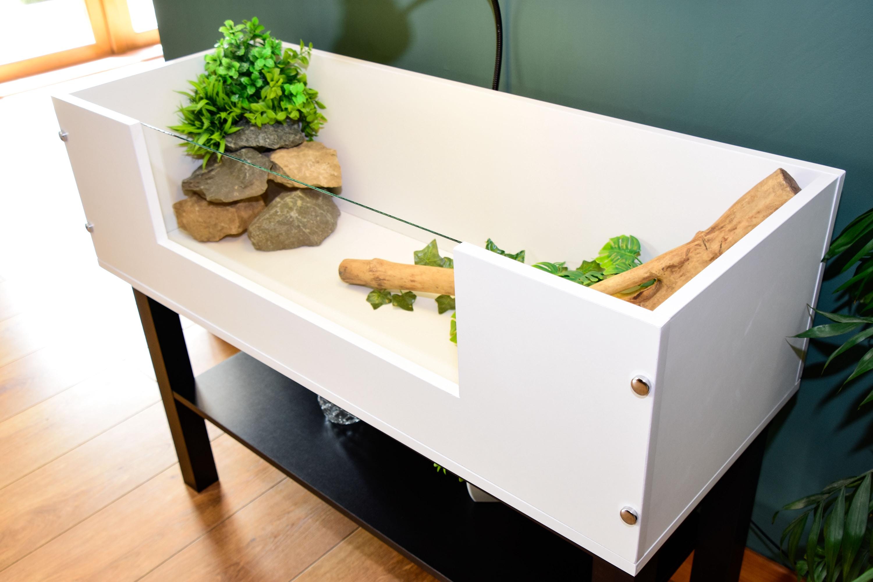 3ft Open Top Tortoise Table + Black Stand with Glass Window