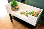 3ft Open Top Tortoise Table + Black Stand with Glass Window