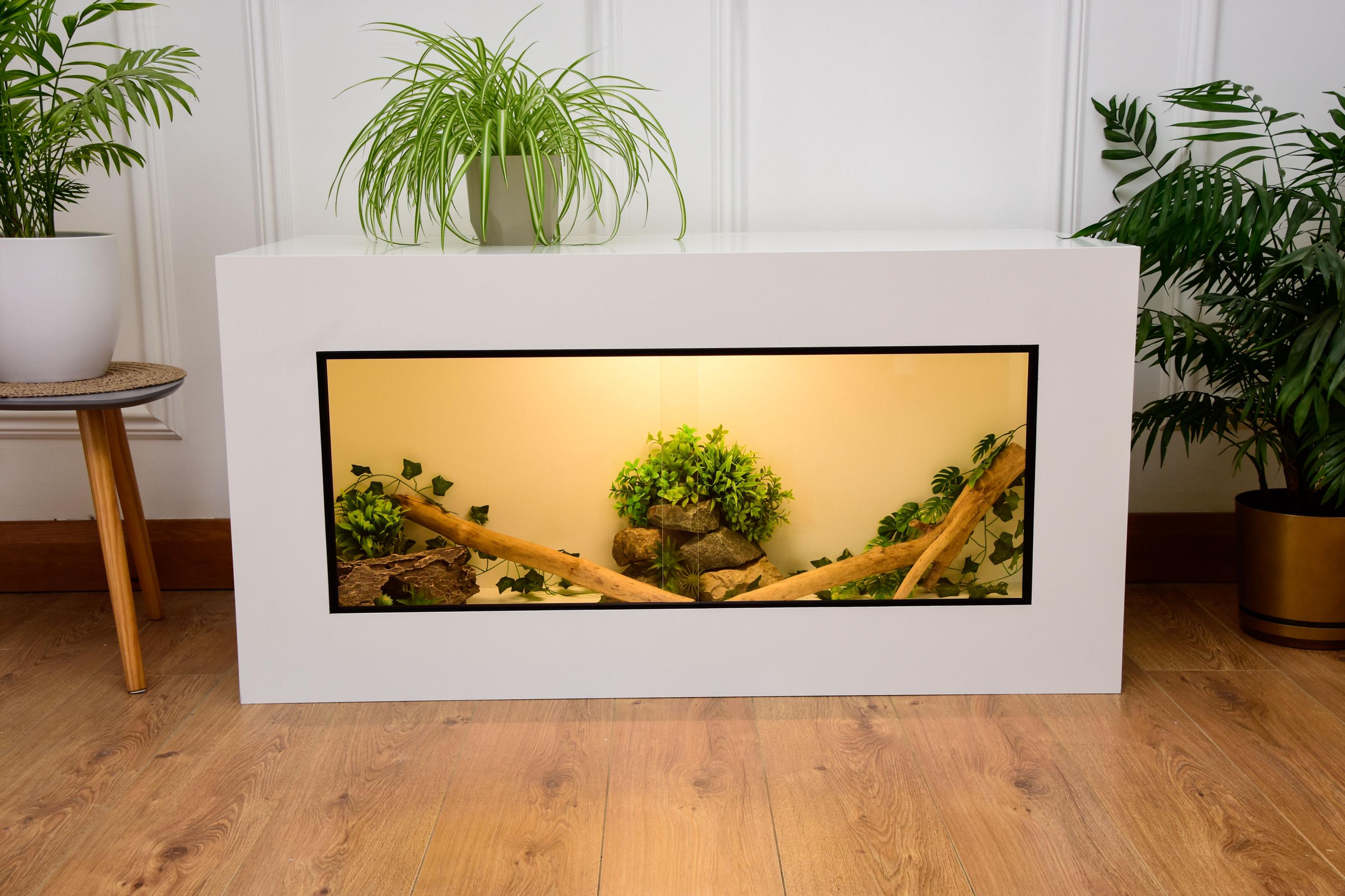 Large 4 x 2 x 2 Modern Reptile Vivarium