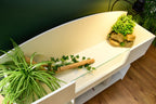 4ft x 16" x 15" Open Top Tortoise Table + Wide LED Stand and Glass Window