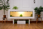 Large 6ft x 19" x 24" Modern Reptile Vivarium with LED Stand