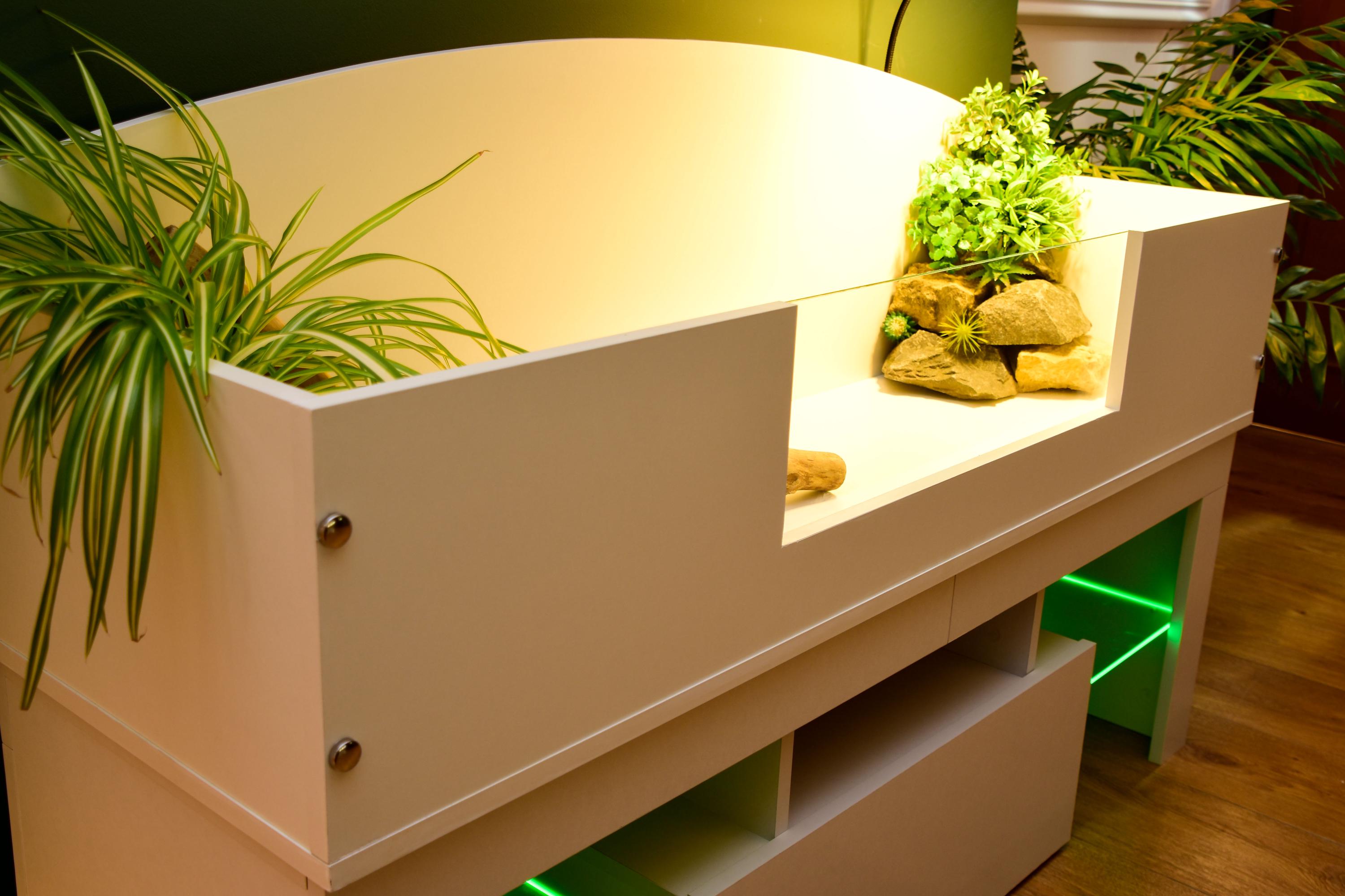 4ft x 16" x 15" Open Top Tortoise Table + LED Stand and Glass Window
