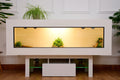 Large 6ft x 19" x 24" Modern Reptile Vivarium with LED Stand