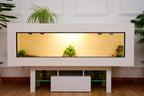 Large 6ft x 19" x 24" Modern Reptile Vivarium with LED Stand