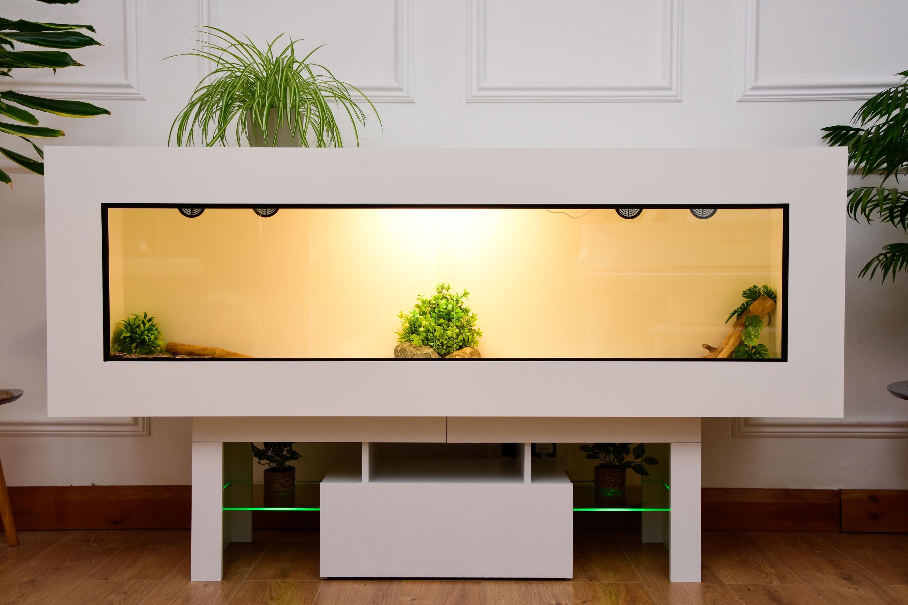 Large 6ft x 19" x 24" Modern Reptile Vivarium with LED Stand