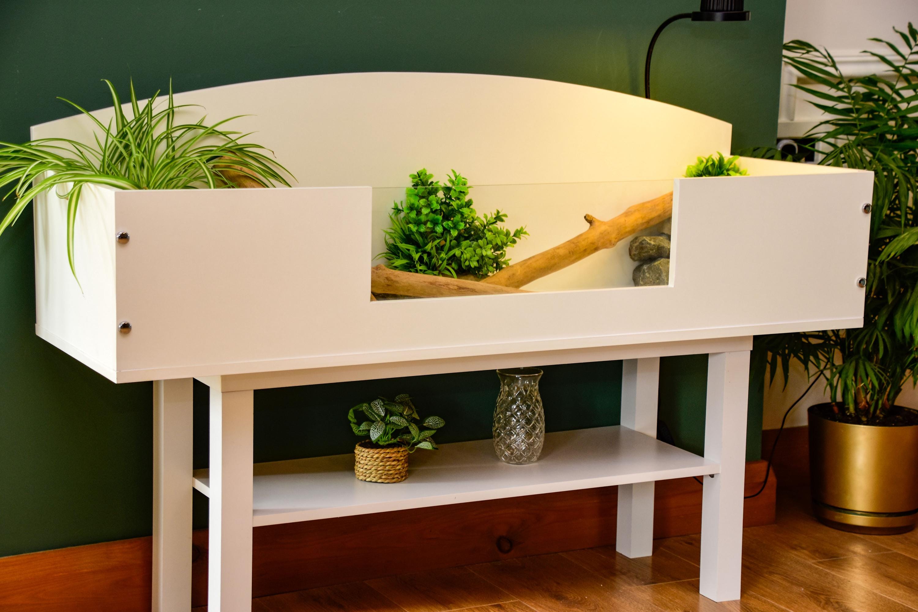 4ft Open Top Tortoise Table + White Stand with Glass Window