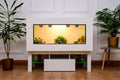 Large 4 x 2 x 2 Modern Reptile Vivarium with LED Stand