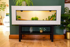 4ft Modern White Reptile Vivarium + Black Stand - LED Light Included