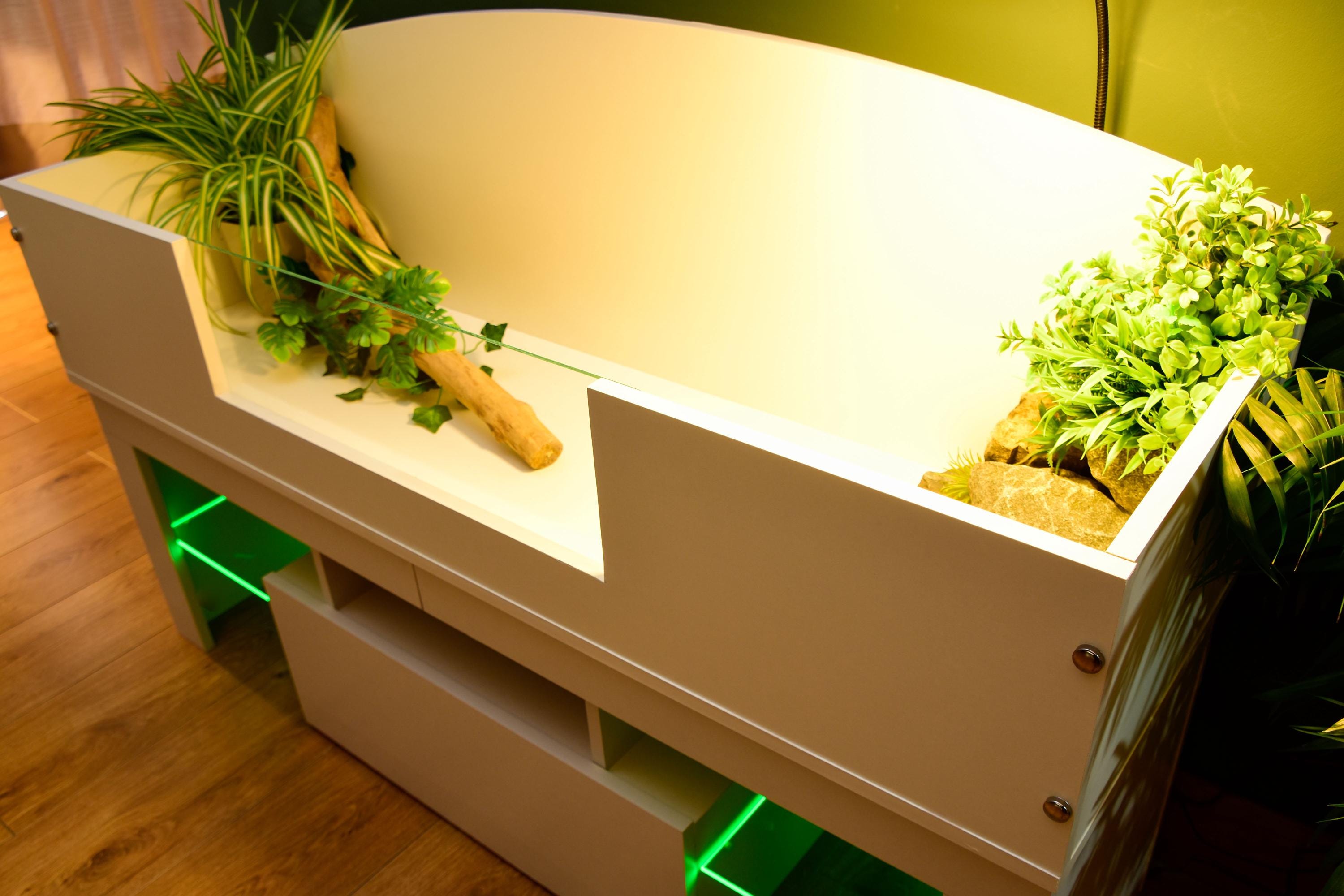 4ft x 16" x 15" Open Top Tortoise Table + LED Stand and Glass Window