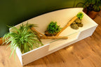 4ft x 16" x 15" Open Top Tortoise Table with Glass Window