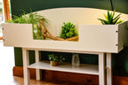 4ft Open Top Tortoise Table + White Stand with Glass Window