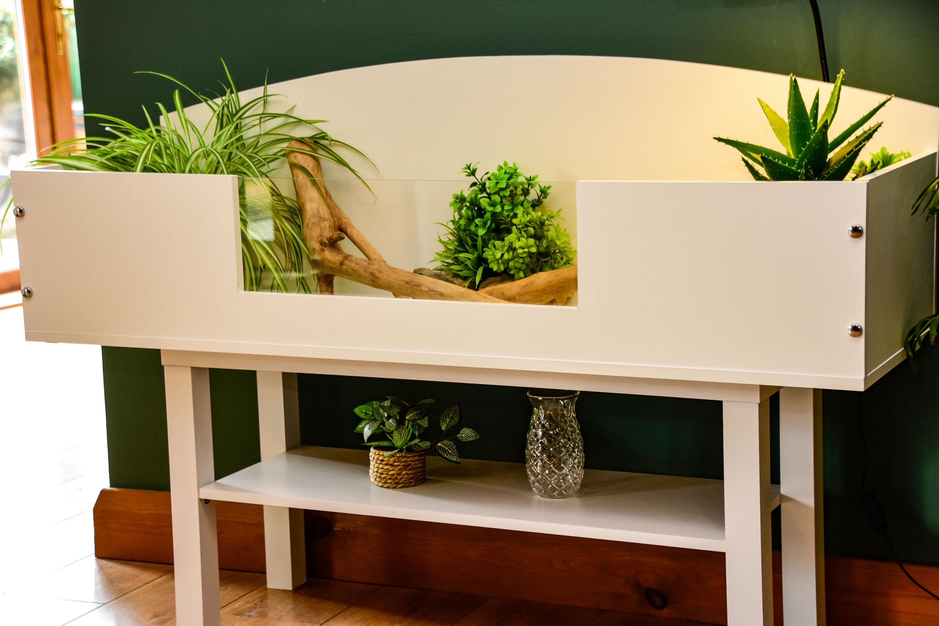 4ft Open Top Tortoise Table + White Stand with Glass Window