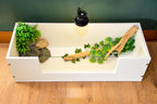 3ft x 14" x 10" Open Top Tortoise Table with Glass Window