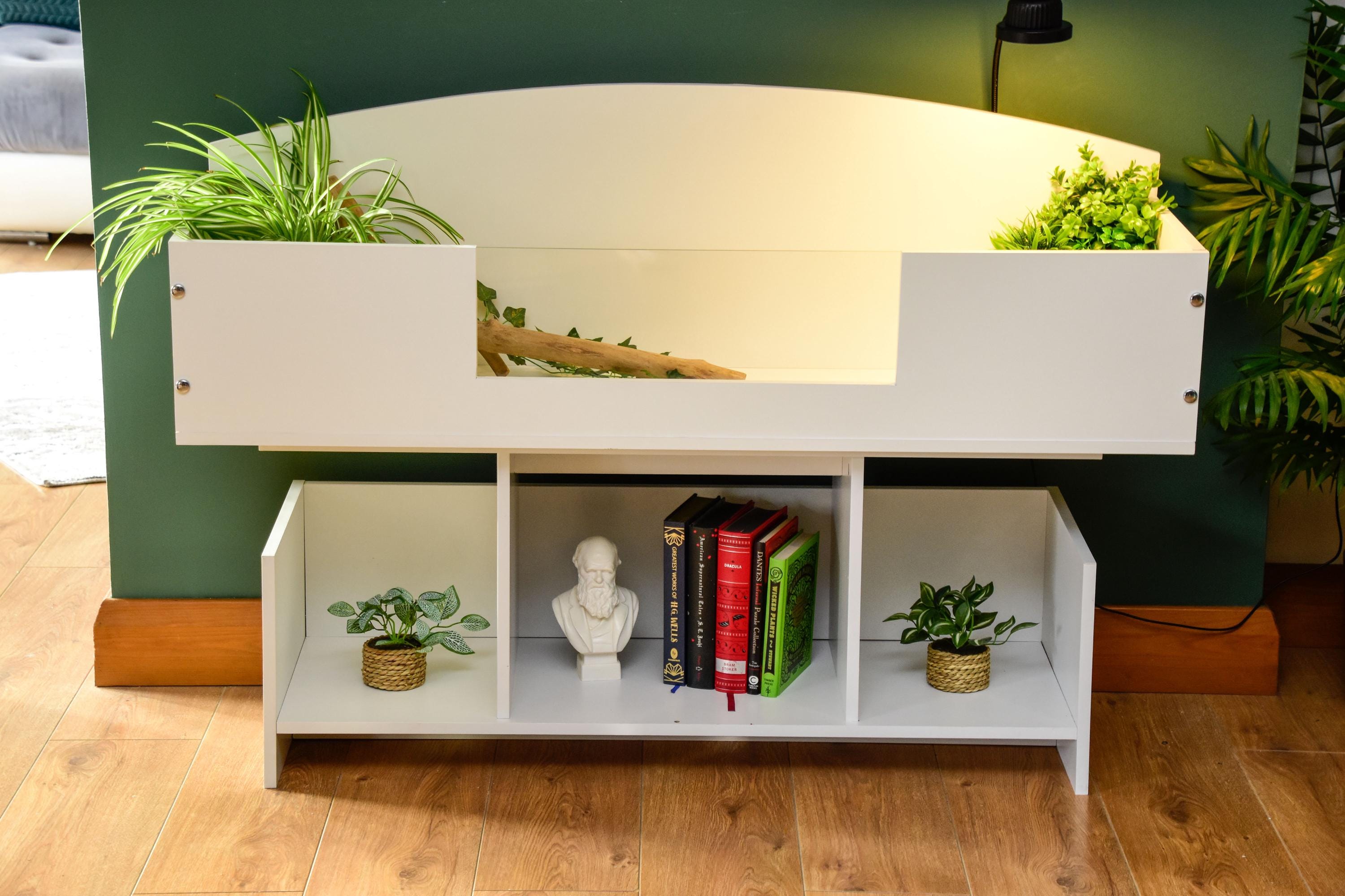4ft x 16" x 15" Open Top Tortoise Table + Wide LED Stand and Glass Window