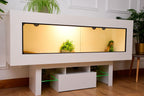 Large 6ft x 19" x 24" Modern Reptile Vivarium with LED Stand
