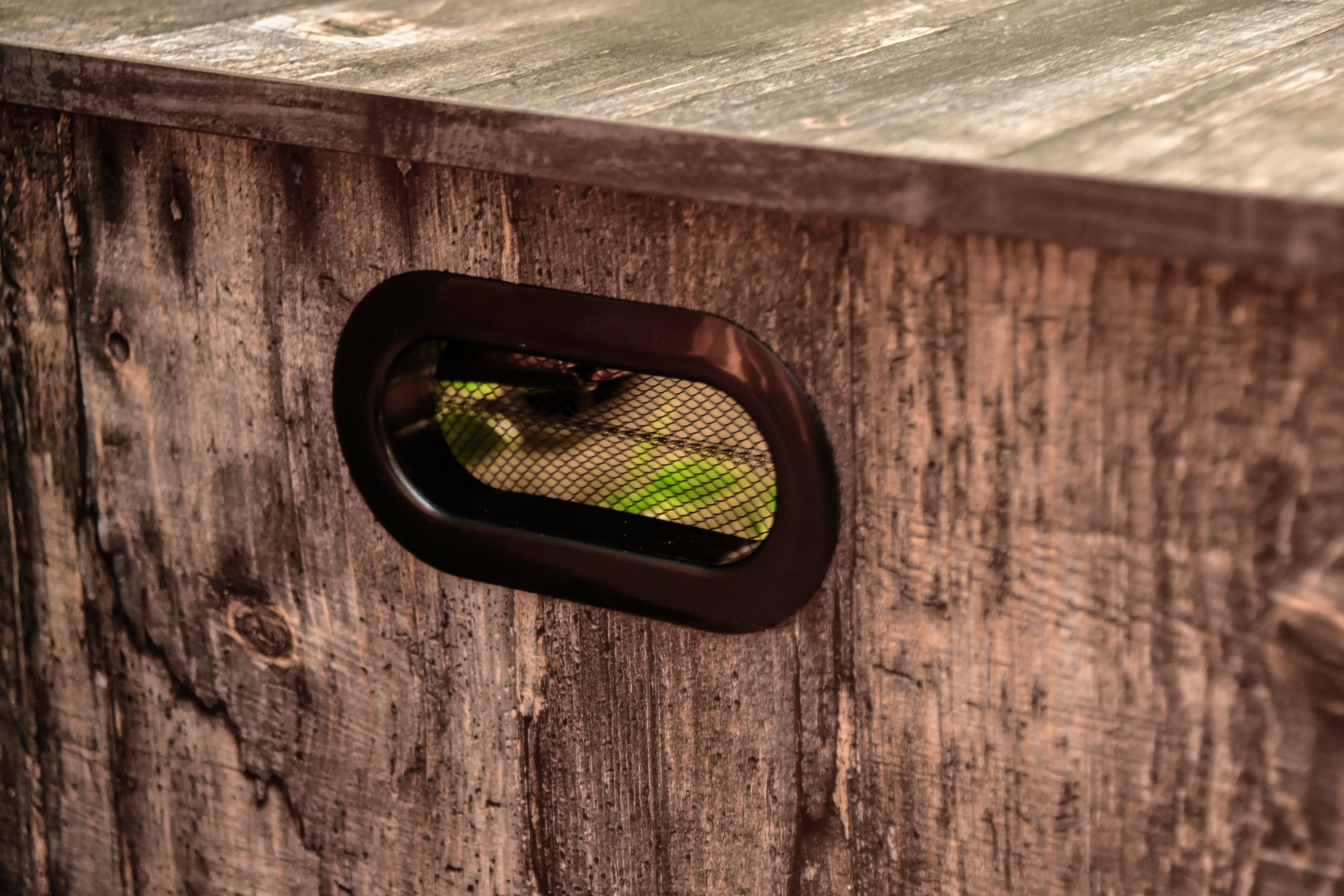 Distressed wood vivarium showing hinge lid open with LED light