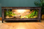 Distressed wood vivarium front view with ferns and natural decor