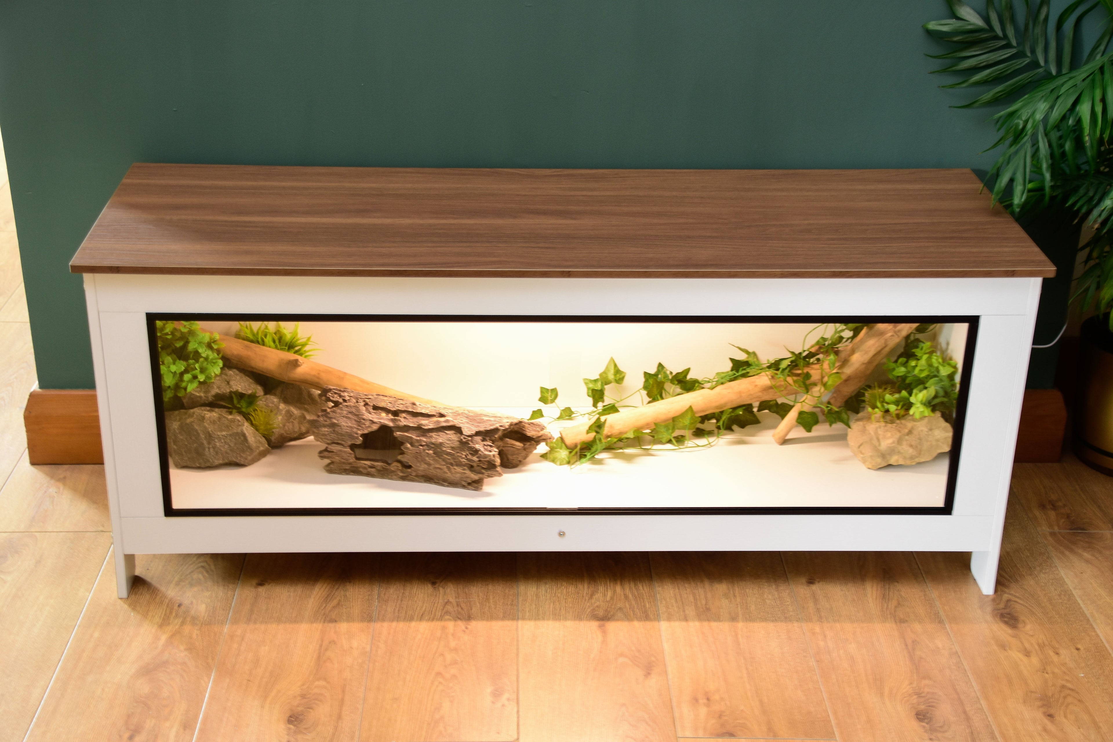 White 4ft vivarium tortoise enclosure - front view with LED lighting on