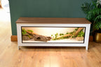 White 4ft vivarium tortoise enclosure - interior view