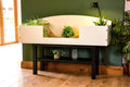 4ft Open Top Tortoise Table + Black Stand with Glass Window