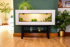 4ft Modern White Reptile Vivarium + Black Stand - LED Light Included