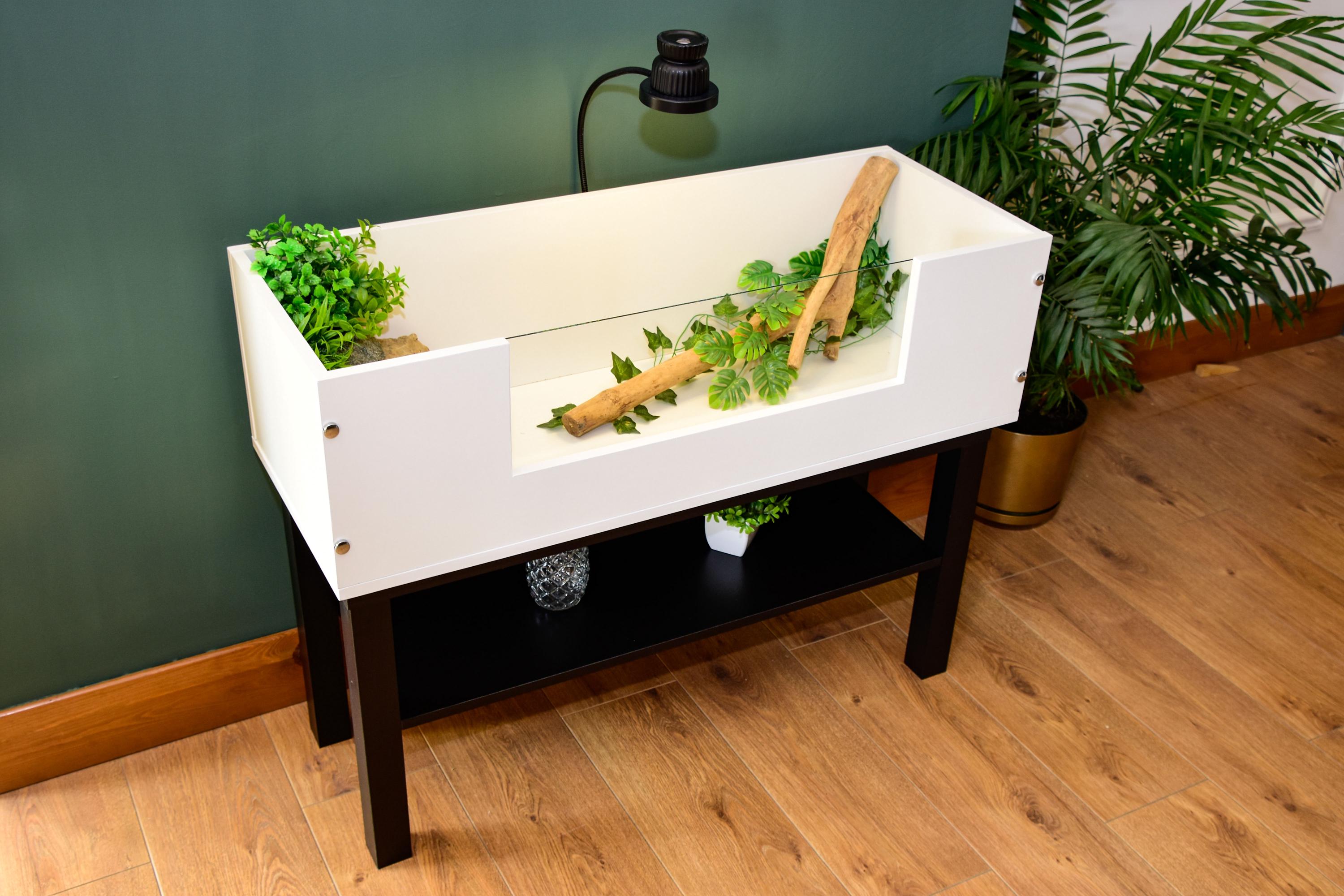3ft Open Top Tortoise Table + Black Stand with Glass Window