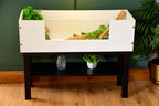 3ft Open Top Tortoise Table + Black Stand with Glass Window
