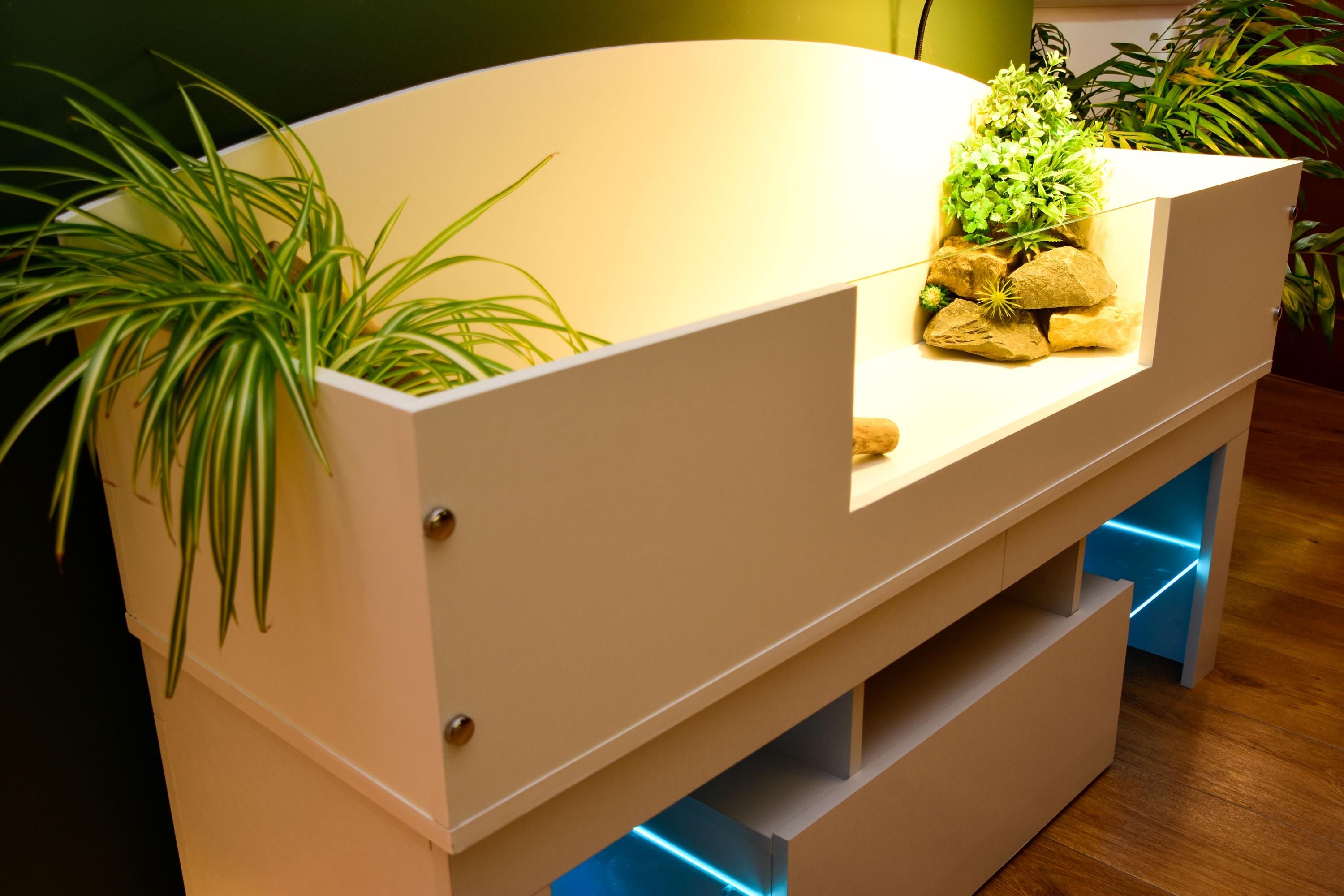 4ft x 16" x 15" Open Top Tortoise Table + LED Stand and Glass Window