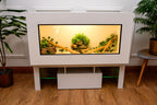 Large 4 x 2 x 2 Modern Reptile Vivarium with LED Stand