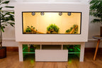 Large 4 x 2 x 2 Modern Reptile Vivarium with LED Stand