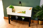 3ft Open Top Tortoise Table + Black Stand with Glass Window