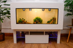 Large 4 x 2 x 2 Modern Reptile Vivarium with LED Stand