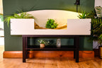 4ft Open Top Tortoise Table + Black Stand with Glass Window