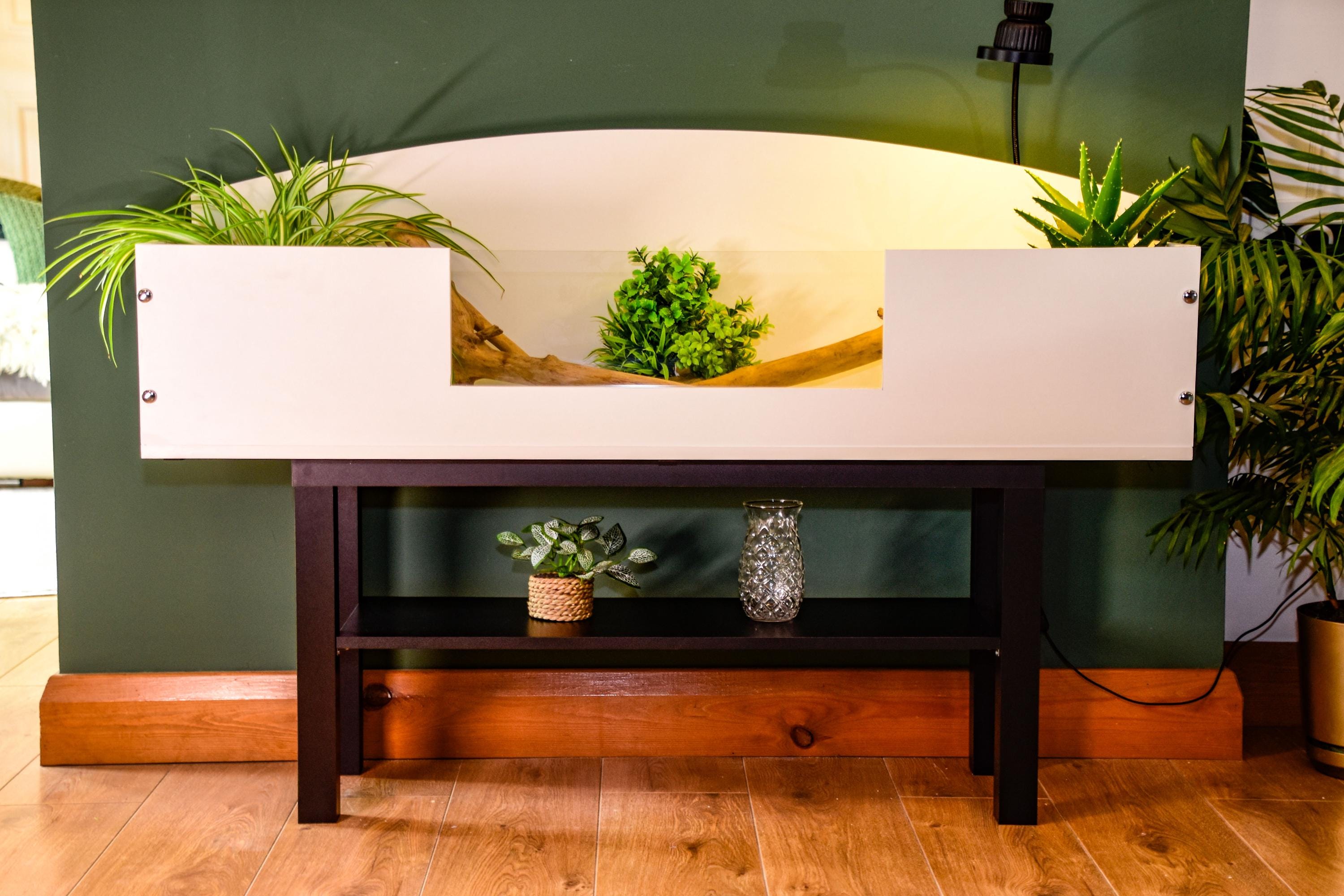 4ft Open Top Tortoise Table + Black Stand with Glass Window