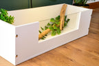 3ft x 14" x 10" Open Top Tortoise Table with Glass Window